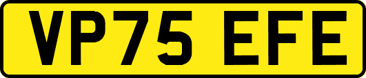 VP75EFE