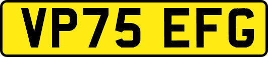 VP75EFG