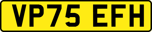 VP75EFH