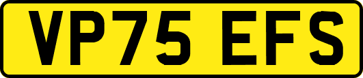 VP75EFS