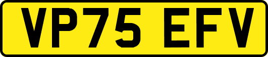 VP75EFV