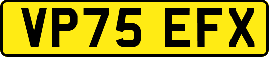 VP75EFX