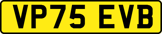 VP75EVB