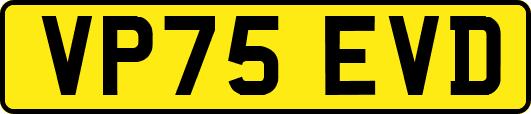VP75EVD