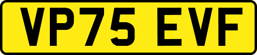 VP75EVF