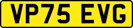 VP75EVG