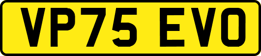 VP75EVO
