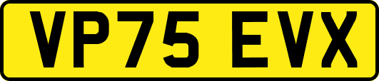 VP75EVX