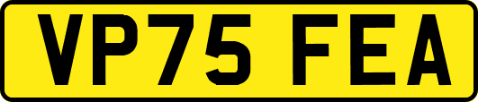 VP75FEA