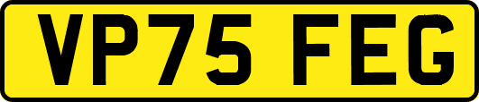 VP75FEG