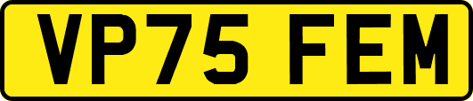VP75FEM