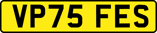 VP75FES