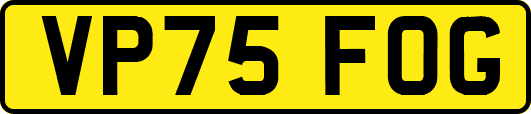 VP75FOG