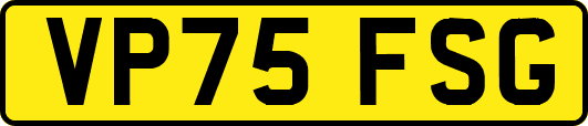 VP75FSG