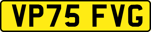 VP75FVG