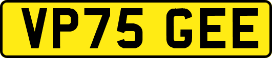VP75GEE
