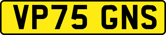 VP75GNS