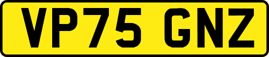 VP75GNZ