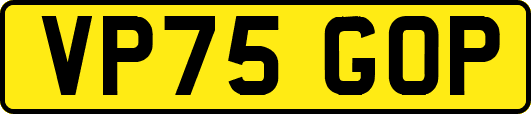 VP75GOP