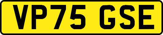 VP75GSE