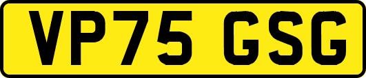 VP75GSG