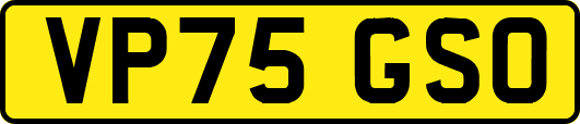 VP75GSO