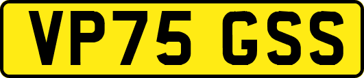 VP75GSS