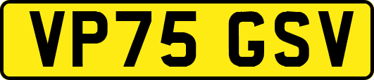 VP75GSV
