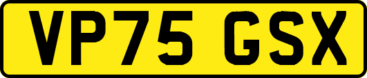 VP75GSX