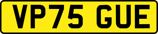 VP75GUE