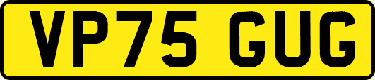 VP75GUG