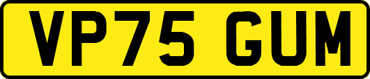 VP75GUM