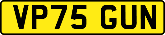 VP75GUN