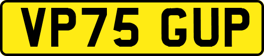 VP75GUP