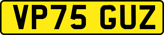 VP75GUZ