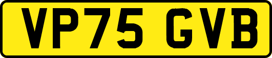 VP75GVB