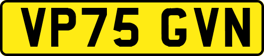VP75GVN