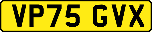 VP75GVX