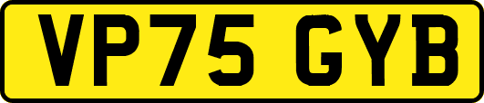 VP75GYB