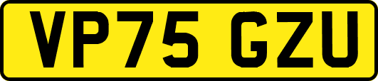 VP75GZU