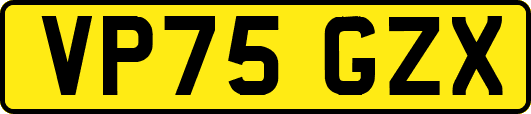 VP75GZX