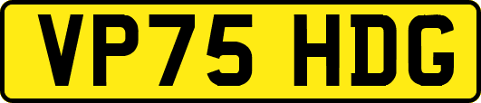 VP75HDG