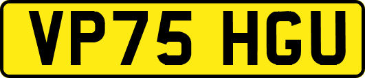 VP75HGU