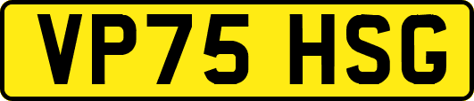 VP75HSG