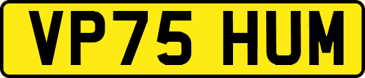 VP75HUM