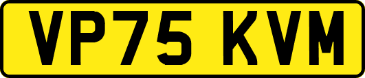 VP75KVM