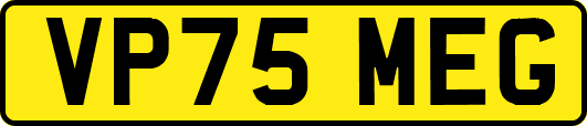 VP75MEG