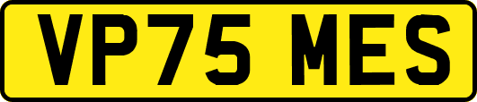 VP75MES