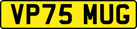 VP75MUG
