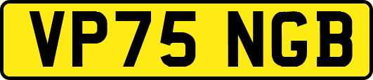 VP75NGB